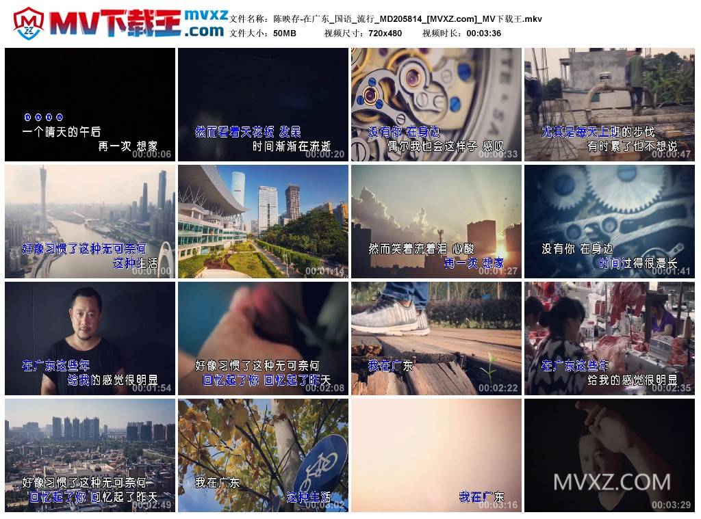 陈映存-在广东_国语_流行_MD205814